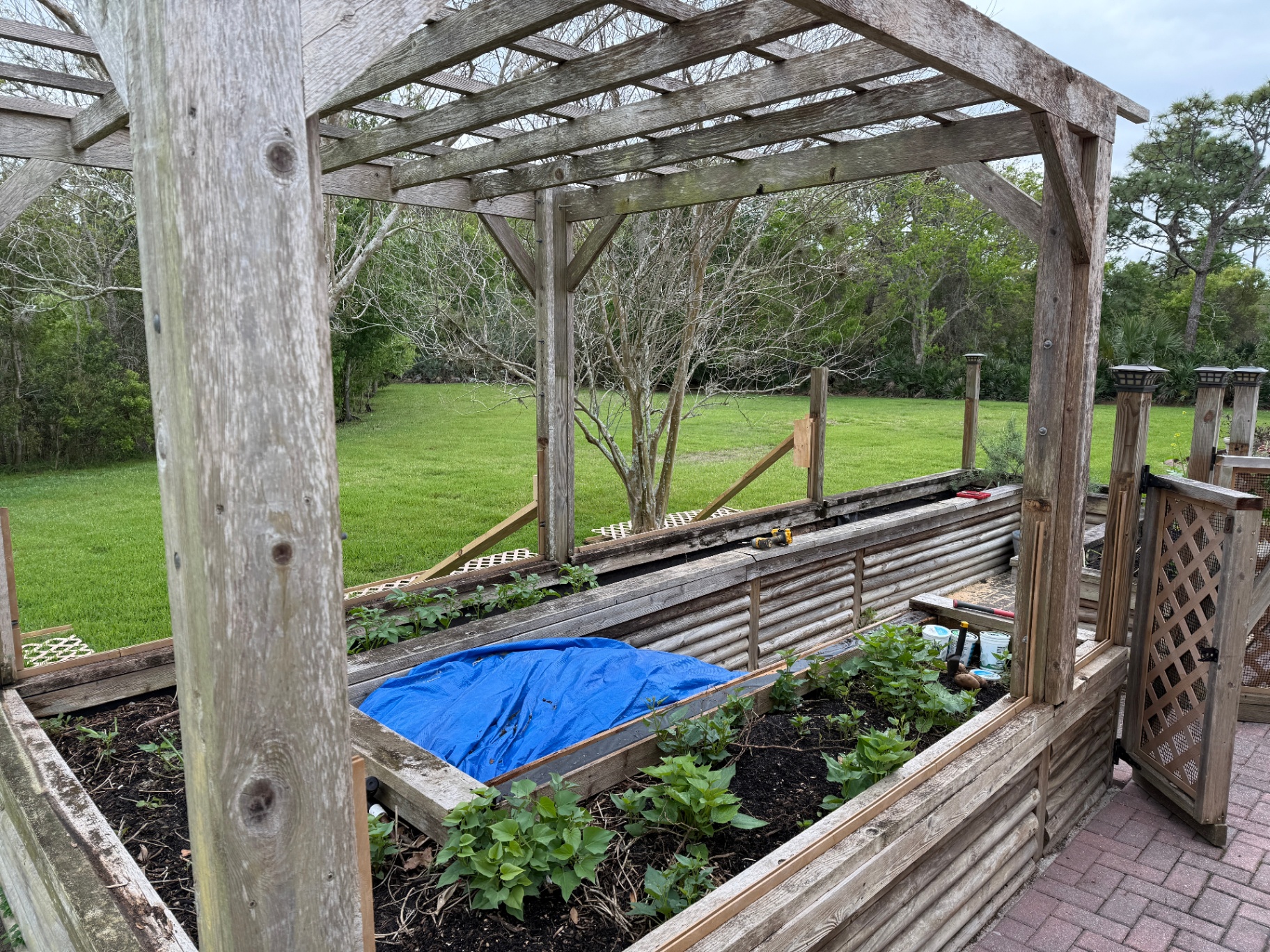 Weathered wood garden pergola in Melbourne, FL before staining by Launch Painting Co.