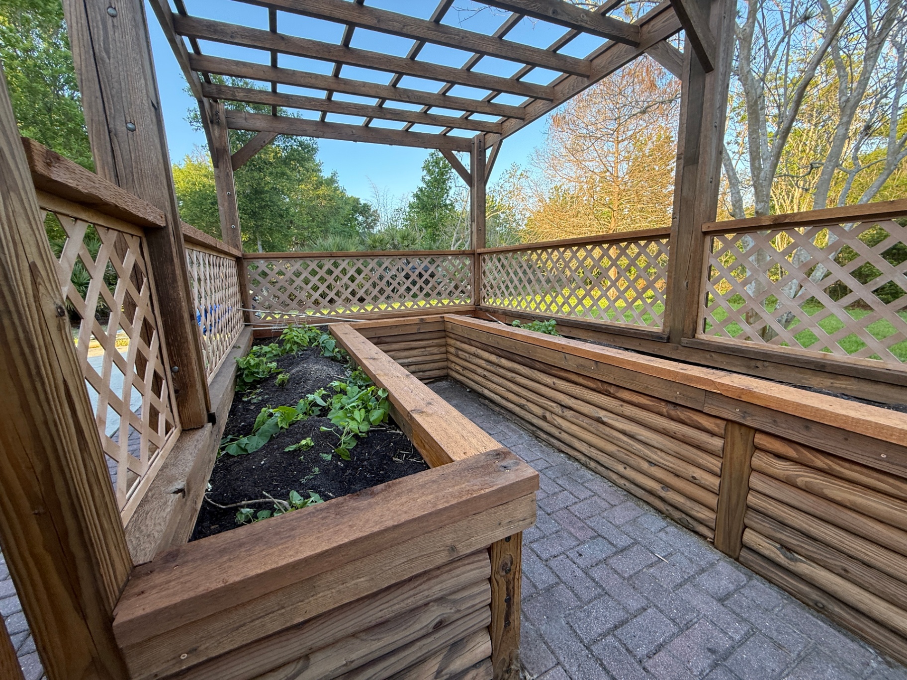 Richly re-stained wood garden pergola in Melbourne, FL after staining by Launch Painting Co.